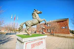 北京青苗國(guó)際雙語學(xué)校懷柔國(guó)際部