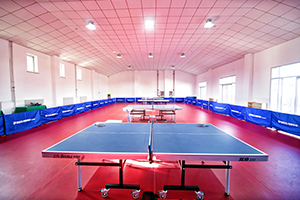 北京青苗國(guó)際雙語(yǔ)學(xué)校懷柔國(guó)際部