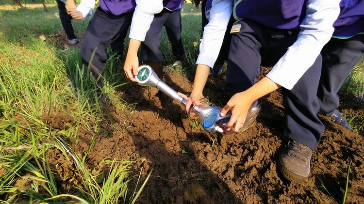 上海國(guó)際學(xué)校大學(xué)