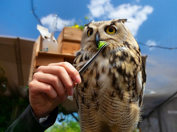 cis佛山國(guó)際學(xué)校