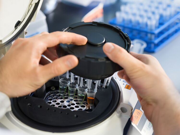 北京加拿大國際學(xué)校官網(wǎng)首頁