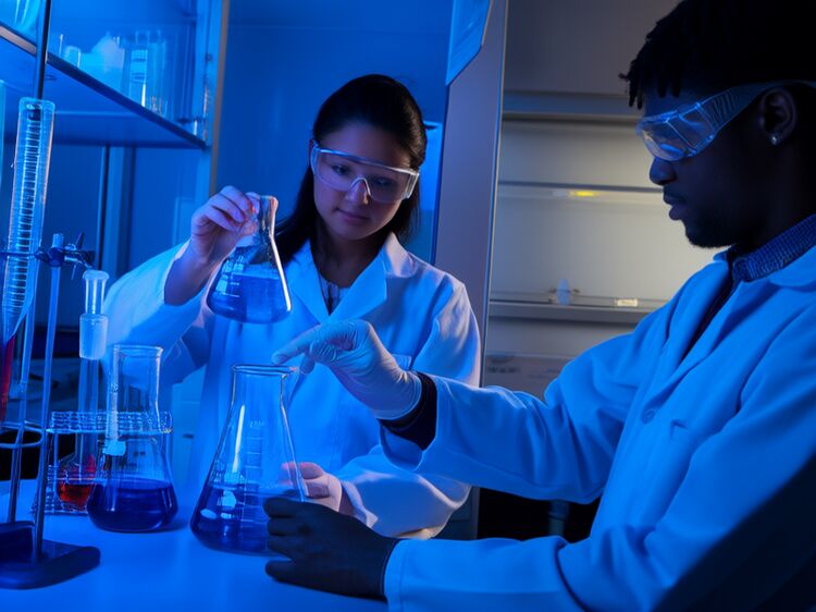 北京國際學(xué)校哪里有