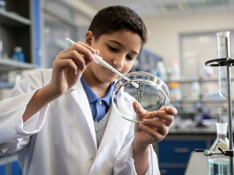 北京哈羅國際學(xué)校官網(wǎng)