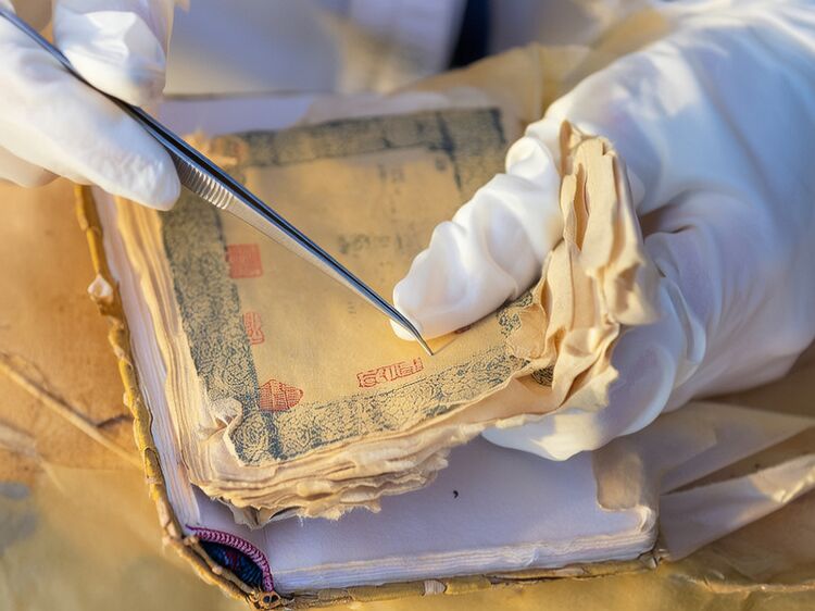 德宏上海國際學校