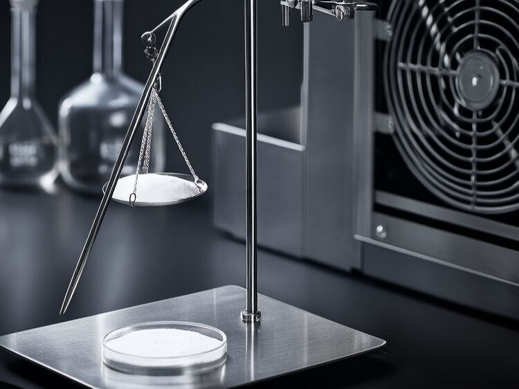 濱州國(guó)際學(xué)校