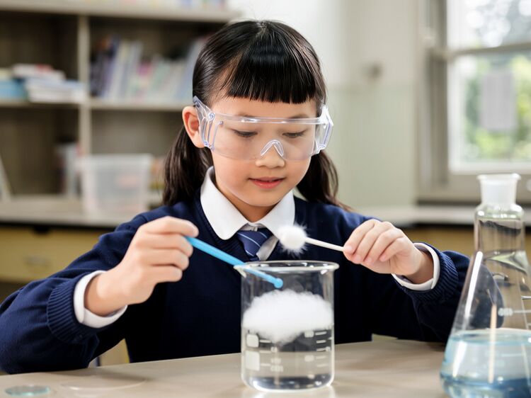 達(dá)州東辰國際學(xué)校學(xué)費(fèi)