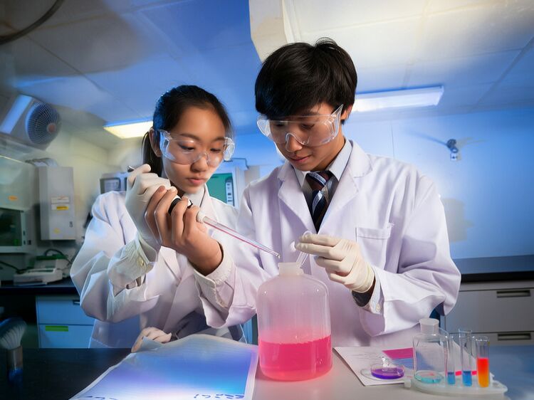 國際學(xué)校怎么申請