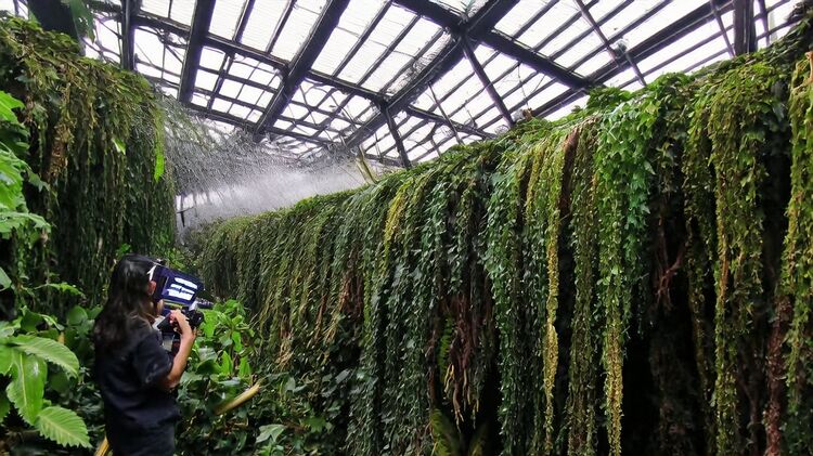 北京國際學(xué)校幼兒園學(xué)費