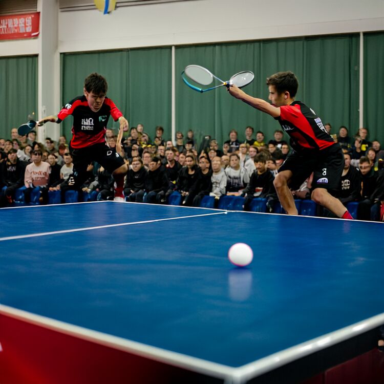 廣州白云區(qū)國際學校