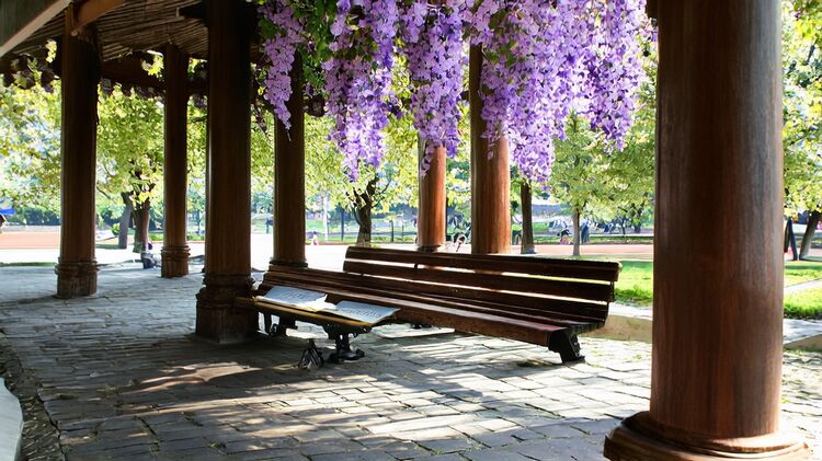 國際學(xué)校哪里好