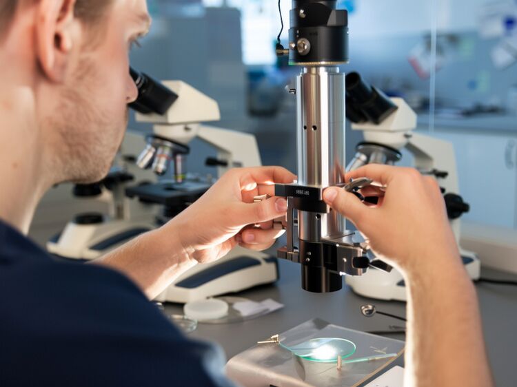 北京青苗學校現(xiàn)在還能報名嗎？