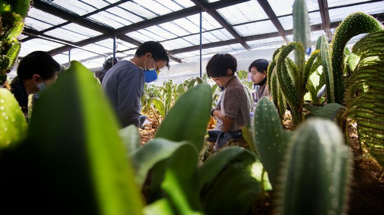2025年昌平區(qū)外籍子女讀匯佳小學(xué)材料清單（含最新政策避坑指南）