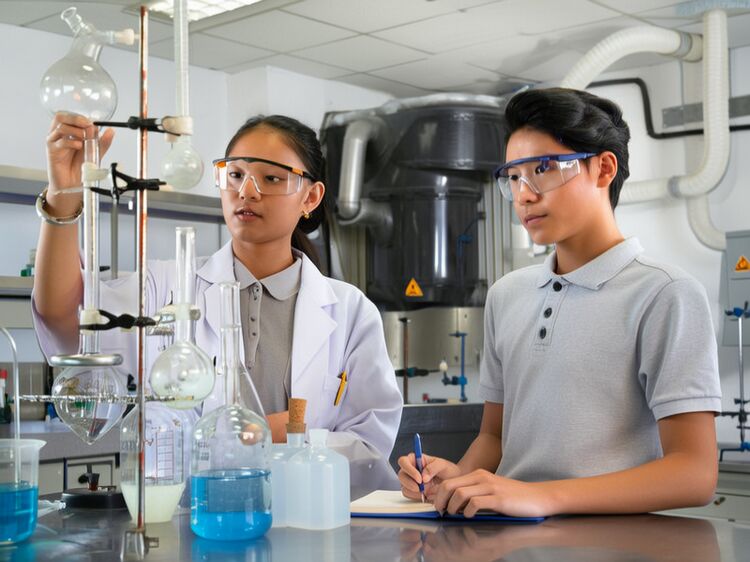 貝賽思國(guó)際學(xué)