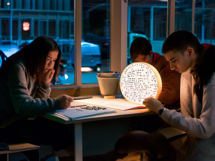 國際學(xué)校朝陽凱文