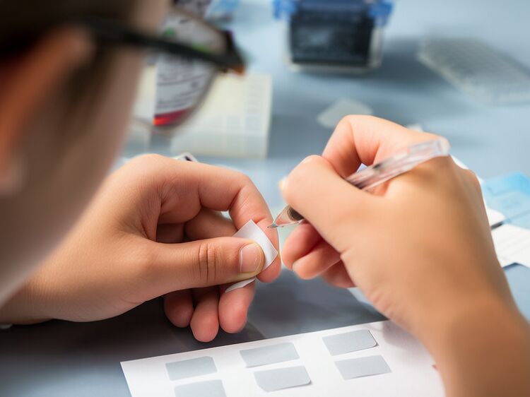 東城區(qū)國際學校有哪些