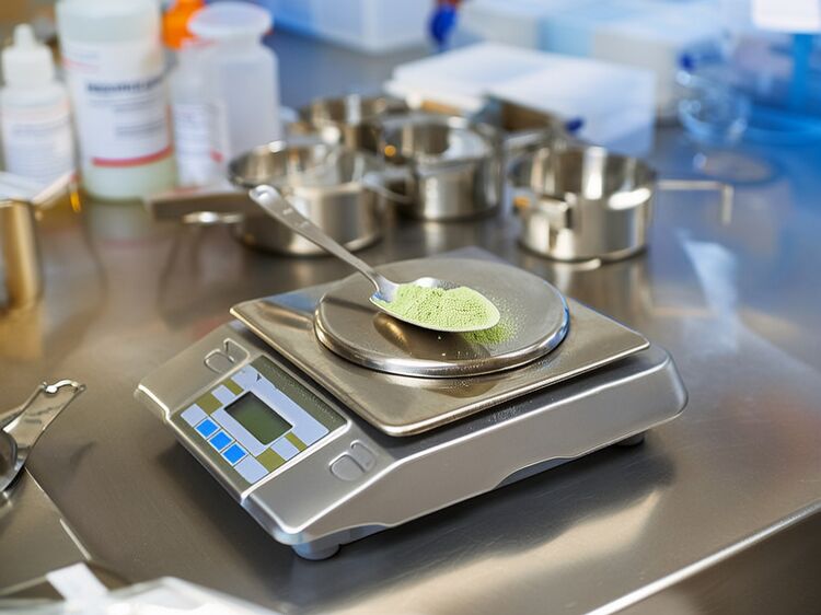 北京力邁國(guó)際學(xué)校官網(wǎng)