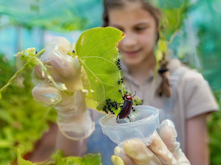 國(guó)際高中貴嗎