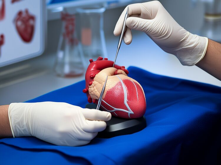 東城區(qū)國際學校有哪些