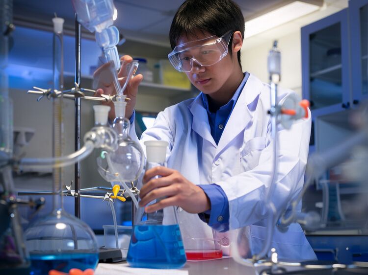 國(guó)際實(shí)驗(yàn)學(xué)校