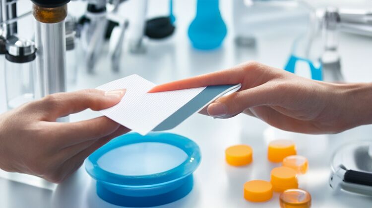 北京市忠德學(xué)校國際部招生2025年報(bào)名指南