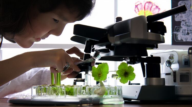 愛莎國際學(xué)校網(wǎng)站